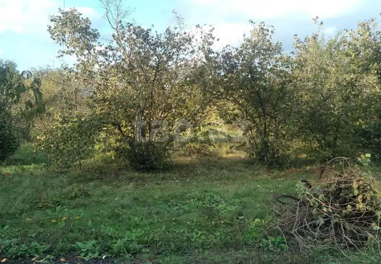 0 m² Obyekt / Ofis , Quba