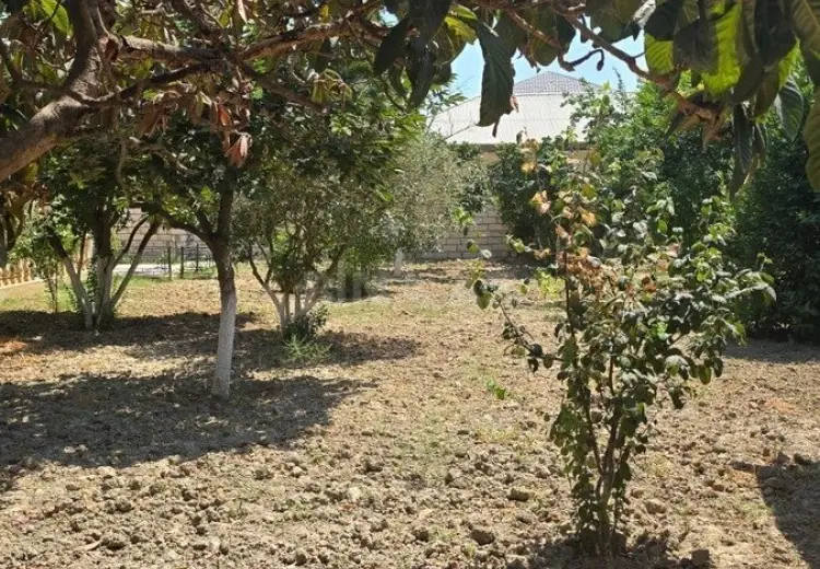 3.5 sot Torpaq Satılır, Bakıxanov qəs., Sabunçu, Bakı