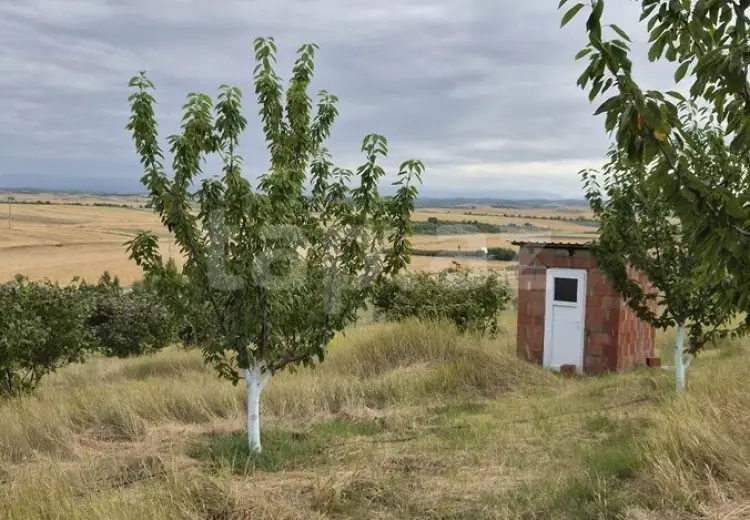 0 m² Obyekt / Ofis , Qusar