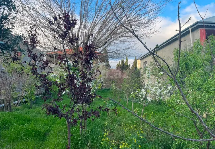 0 m² Obyekt / Ofis , Xətai, Bakı
