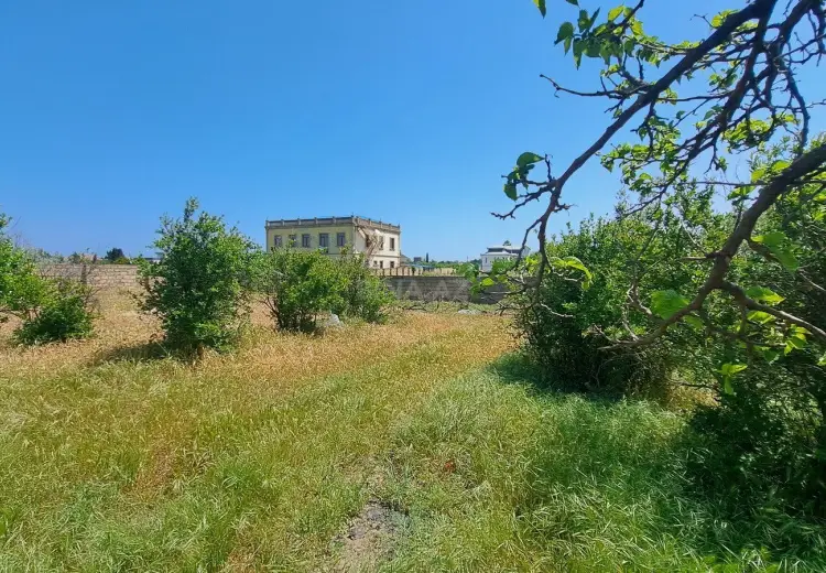 6 sot Torpaq Satılır, Goradil, Abşeron