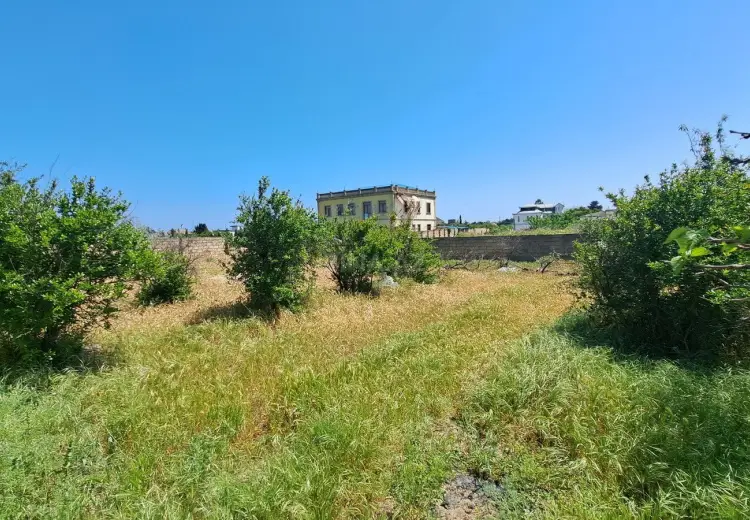 6 sot Torpaq Satılır, Goradil, Abşeron