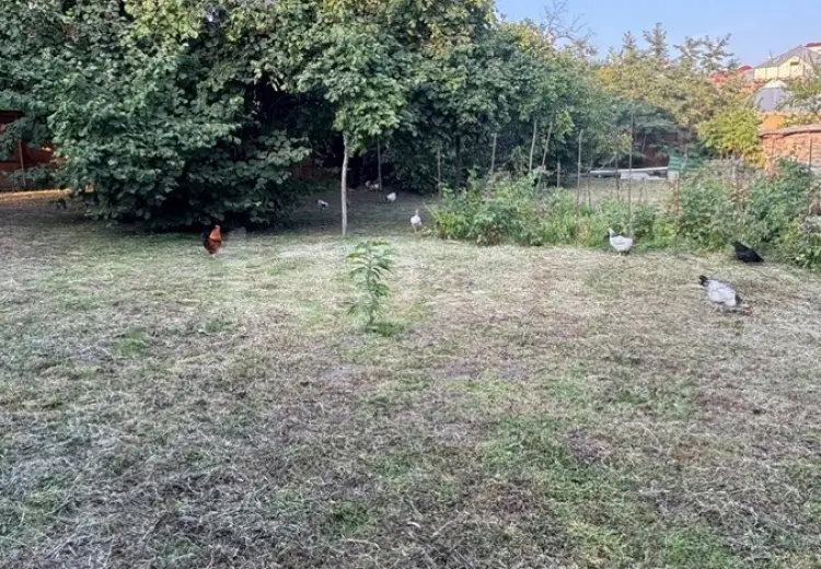 0 m² Obyekt / Ofis , Qəbələ