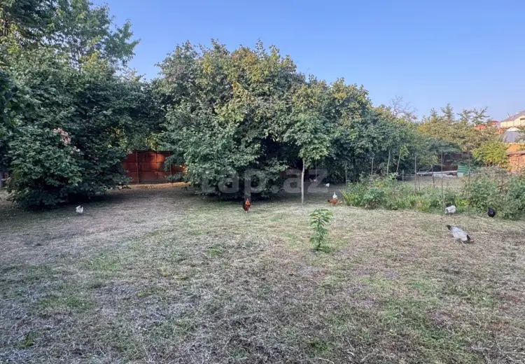 0 m² Obyekt / Ofis , Qəbələ