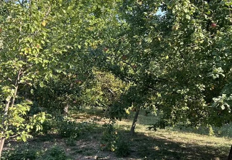 5.1 sot Torpaq Satılır, Nərimanov, Bakı