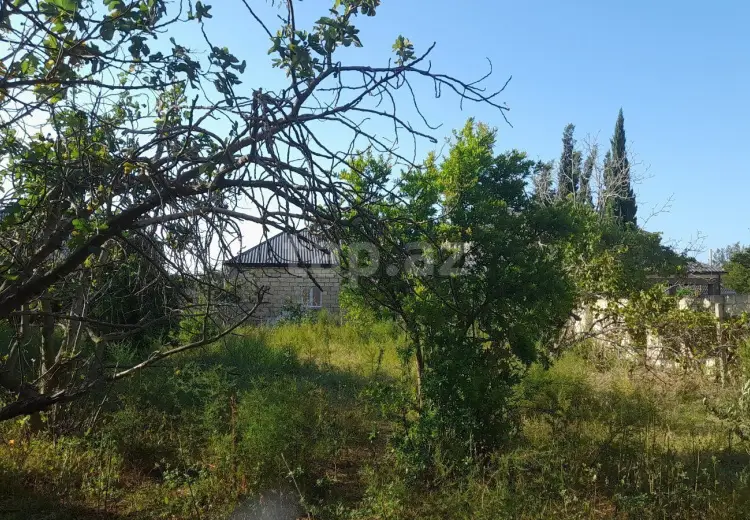 0 m² Obyekt / Ofis , Sumqayıt