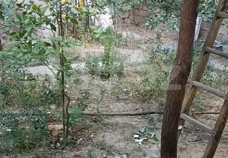 0 m² Obyekt / Ofis , Bakı