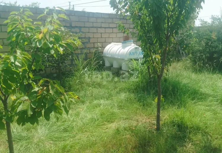 5 otaqlı mənzil , Şəki