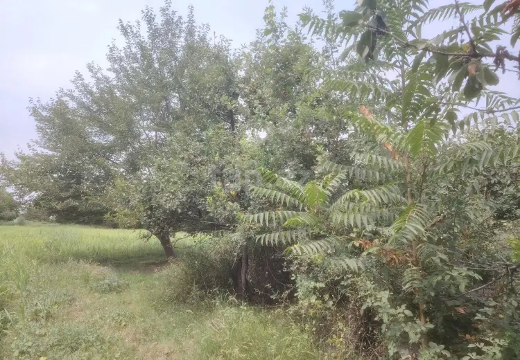 5 otaqlı mənzil , Ağdam