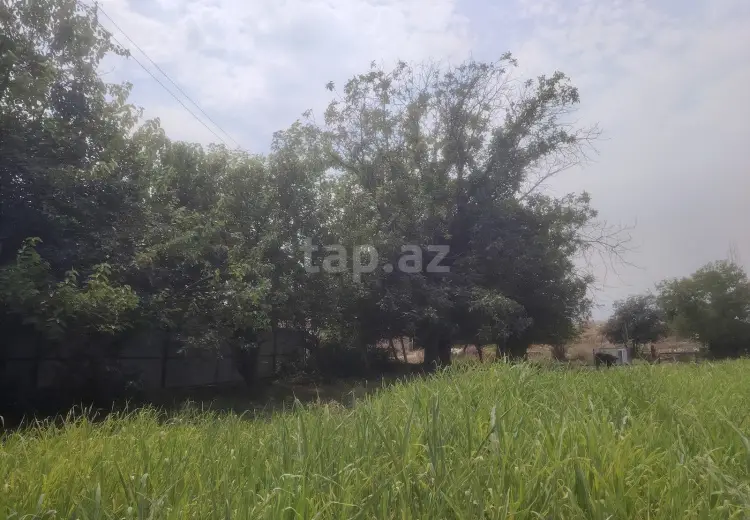 5 otaqlı mənzil , Ağdam