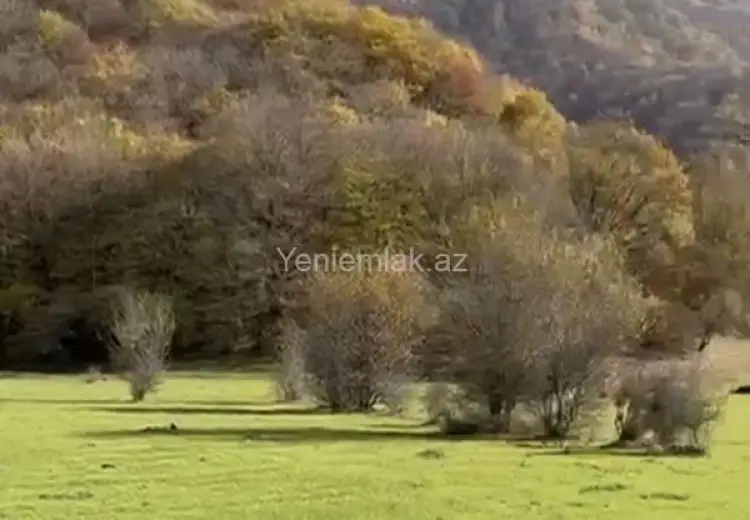 12 sot Torpaq Satılır, Oğuz