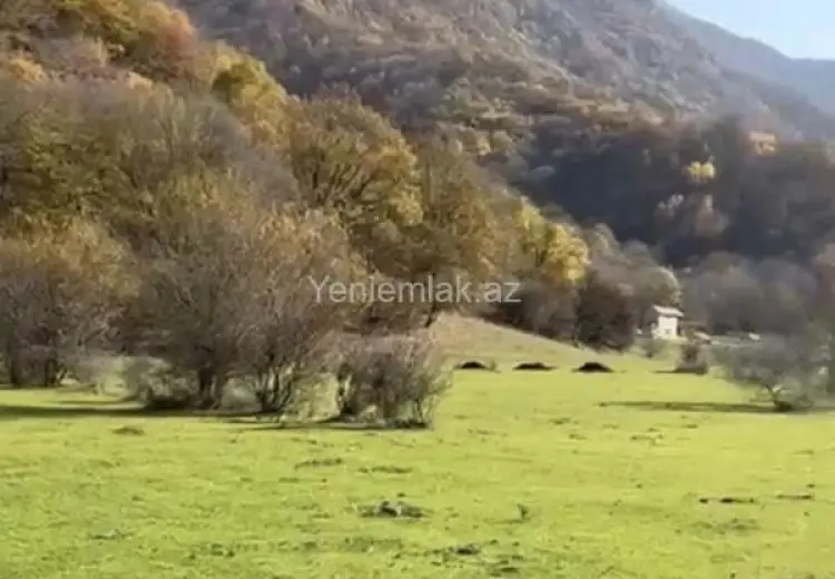 12 sot Torpaq Satılır, Oğuz