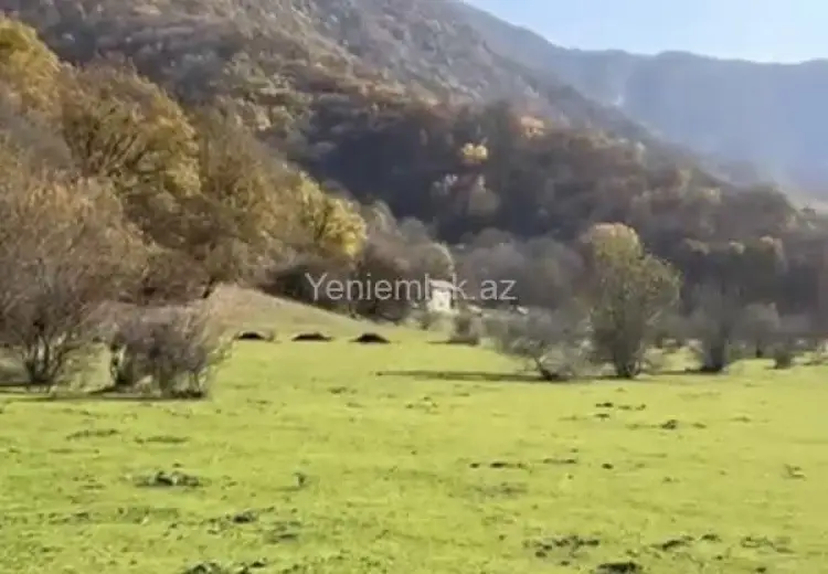 12 sot Torpaq Satılır, Oğuz