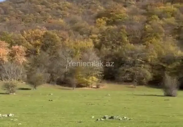 12 sot Torpaq Satılır, Oğuz