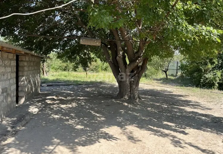 2 otaqlı mənzil , Şirvan