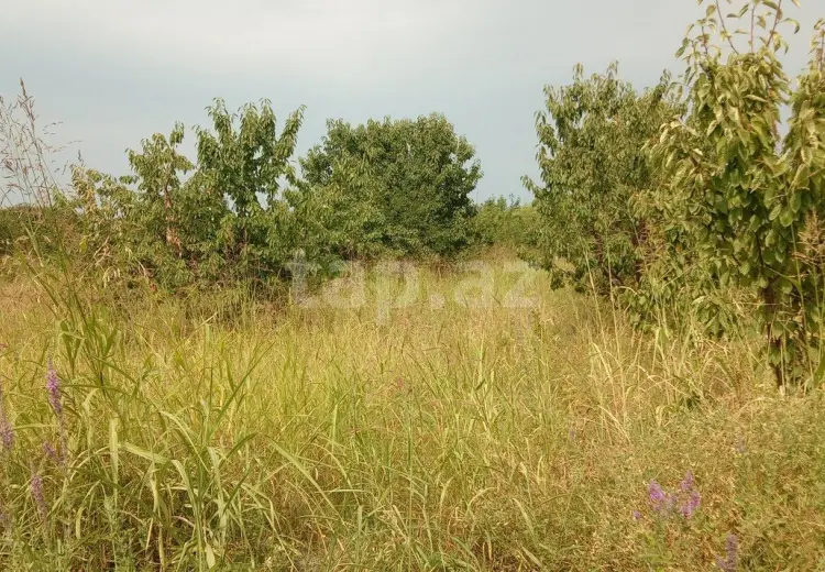 0 m² Obyekt / Ofis , Quba