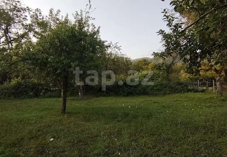 0 m² Obyekt / Ofis , Qəbələ