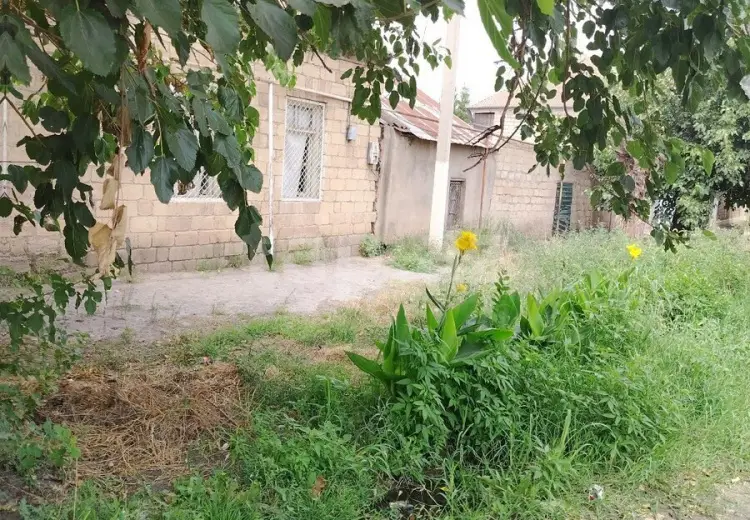 4 otaqlı mənzil , Gəncə