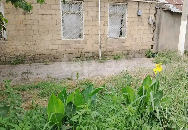 4 otaqlı mənzil , Gəncə