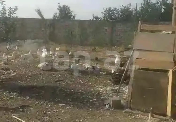 3 otaqlı mənzil , Gəncə