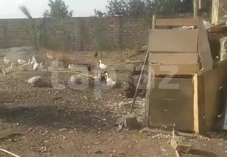 3 otaqlı mənzil , Gəncə