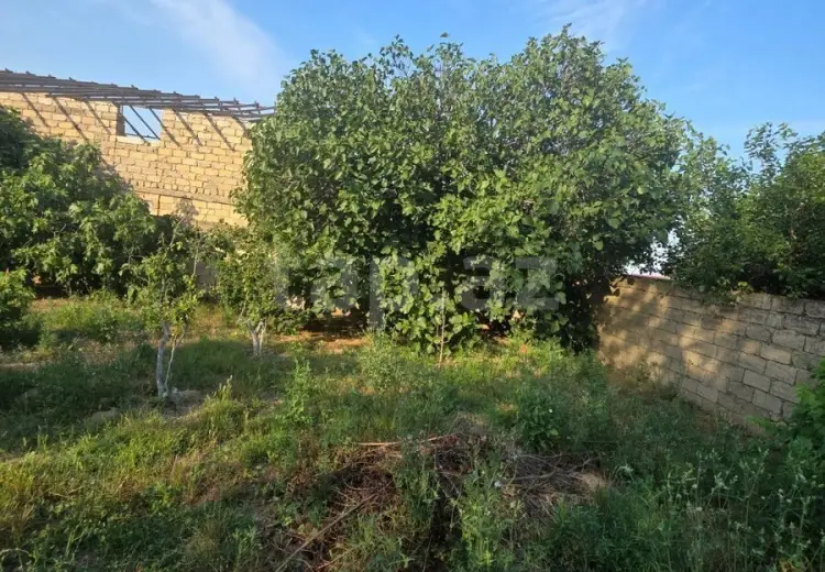 0 m² Obyekt / Ofis , Məhəmmədli, Abşeron