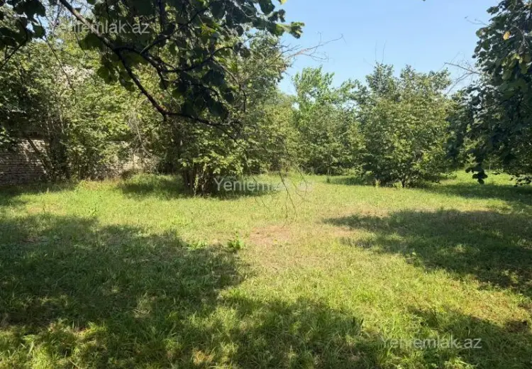 19 sot Torpaq Satılır, Qəbələ