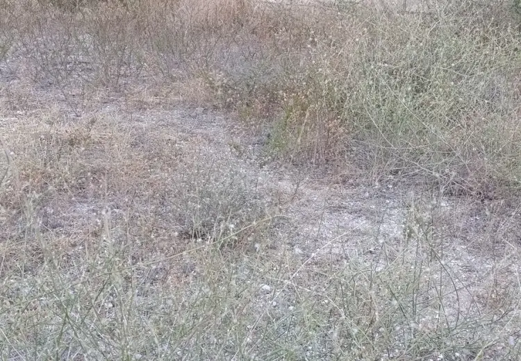 12 sot Torpaq Satılır, Hövsan qəs., Suraxanı, Bakı