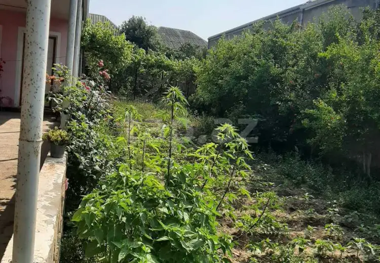 0 m² Obyekt / Ofis , Binə qəs., Xəzər, Bakı