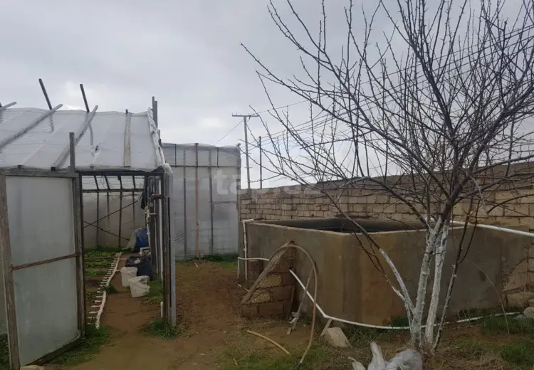2 otaqlı mənzil , Bakı