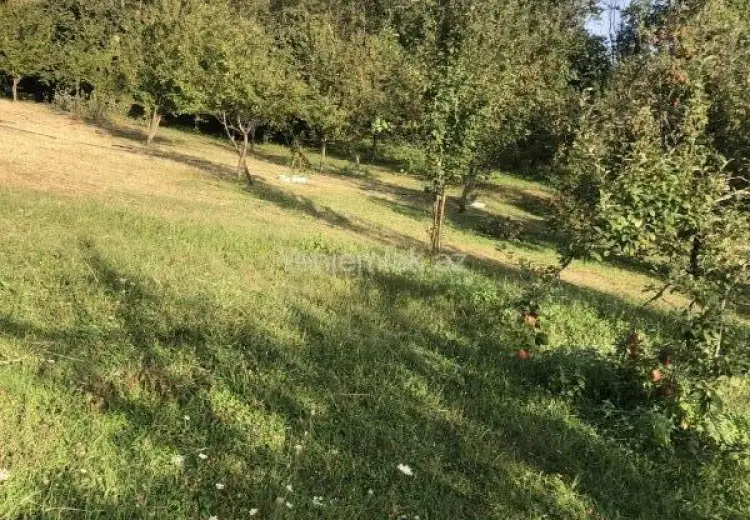 25 sot Torpaq Satılır, Qəbələ