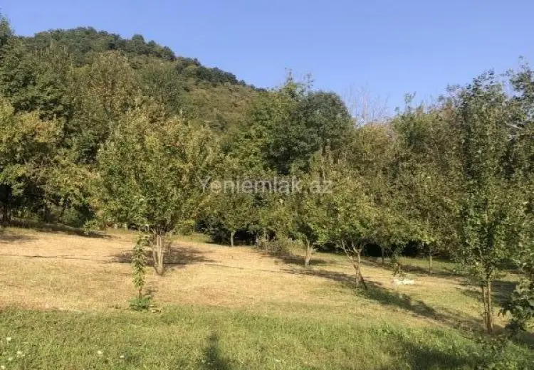 25 sot Torpaq Satılır, Qəbələ