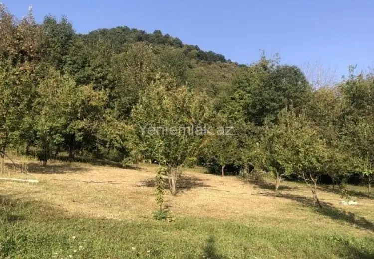 25 sot Torpaq Satılır, Qəbələ