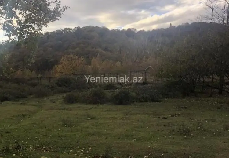 5.5 sot Torpaq Satılır, Qəbələ