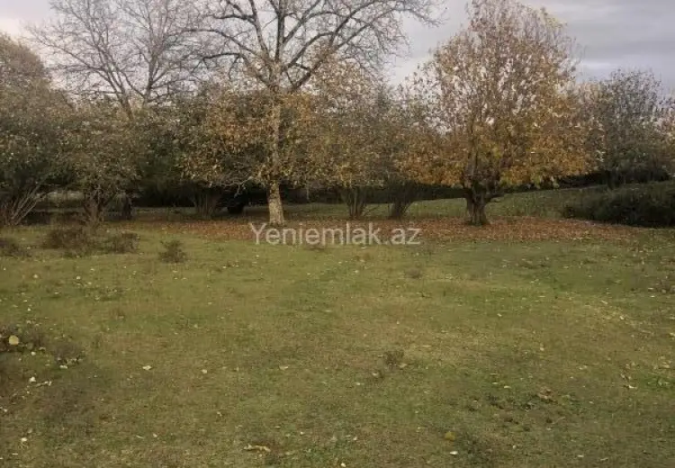 5.5 sot Torpaq Satılır, Qəbələ