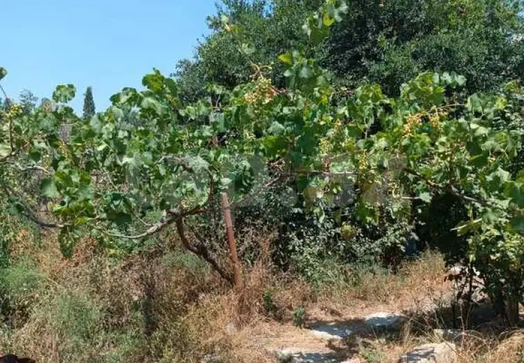 0 m² Obyekt / Ofis , Masazır, Abşeron