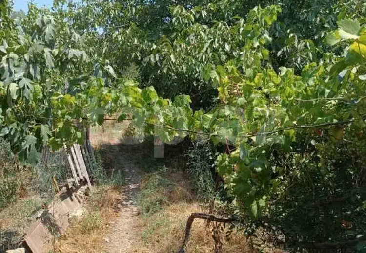 0 m² Obyekt / Ofis , Masazır, Abşeron