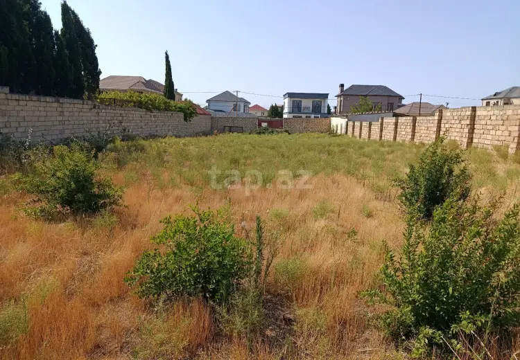 0 m² Obyekt / Ofis , Saray, Abşeron