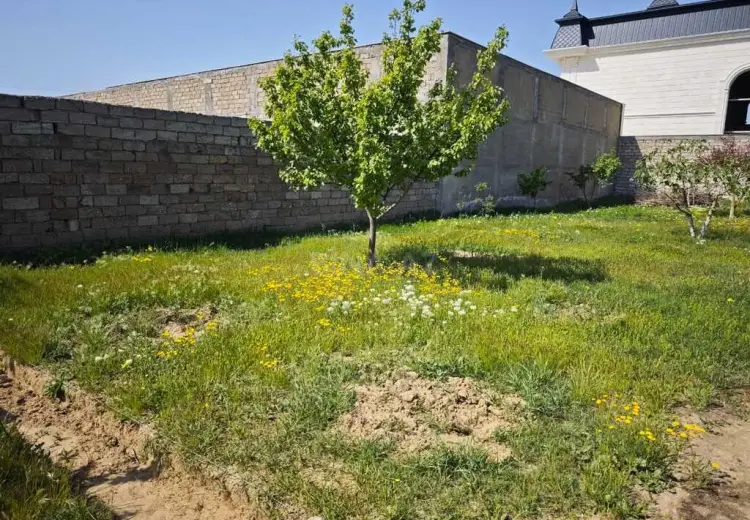 8 sot Torpaq Satılır, Buzovna, Xəzər, Bakı