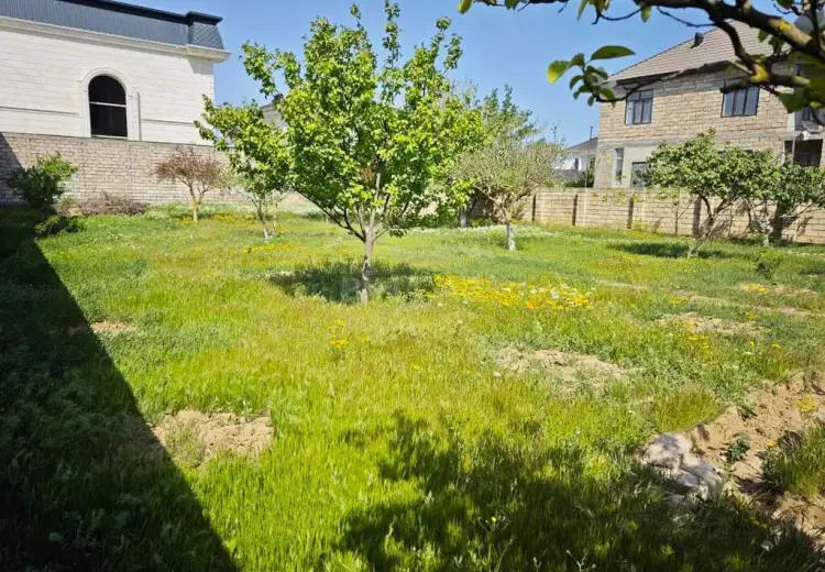 8 sot Torpaq Satılır, Buzovna, Xəzər, Bakı
