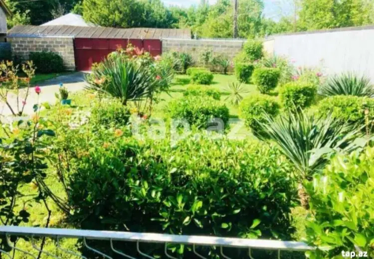 3 otaqlı mənzil , Balakən