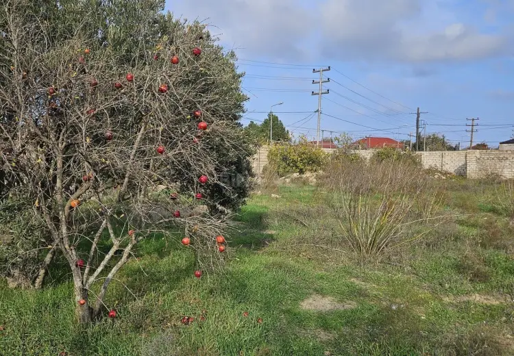 27 sot Torpaq Satılır, Sabunçu, Bakı