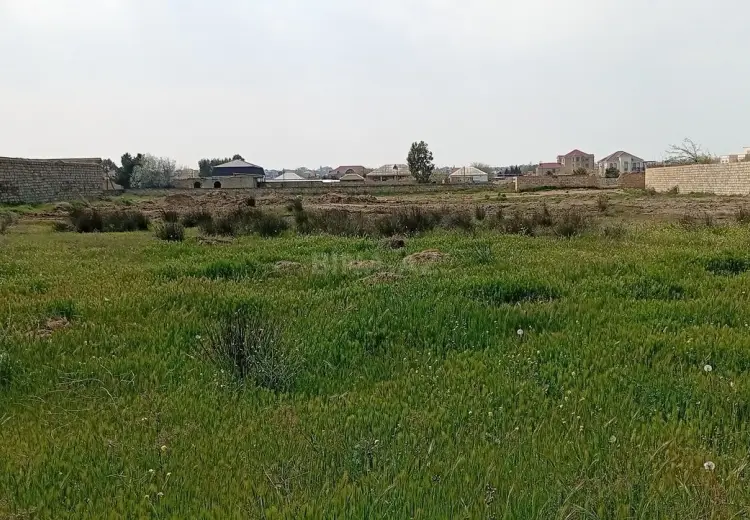 24 sot Torpaq Satılır, Bilgəh qəs., Sabunçu, Bakı