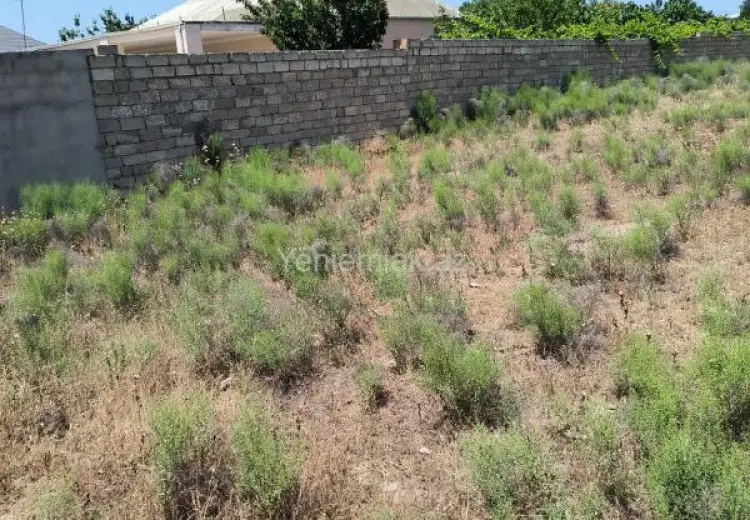 2 sot Torpaq Satılır, Albalı qəs., Sabunçu, Bakı