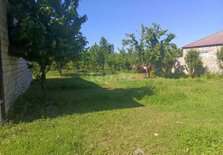 3 otaqlı mənzil , Xaçmaz