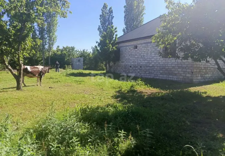 3 otaqlı mənzil , Xaçmaz