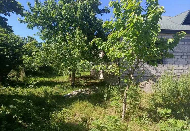 3 otaqlı mənzil , Xaçmaz