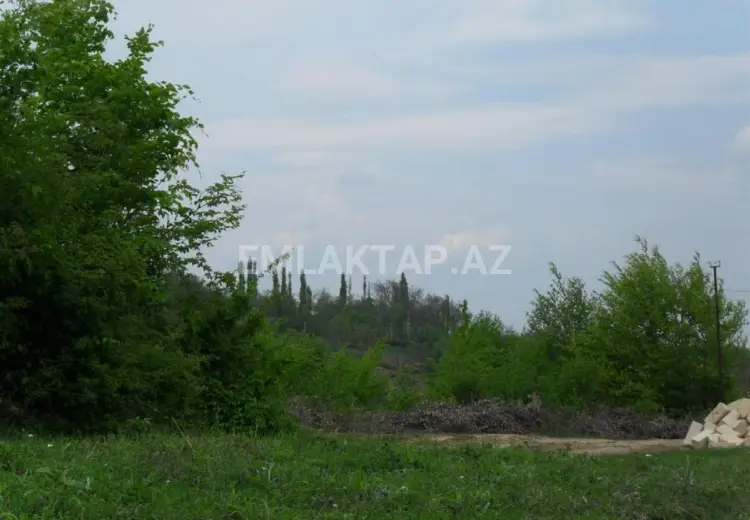 12 sot Torpaq Satılır, Qusar