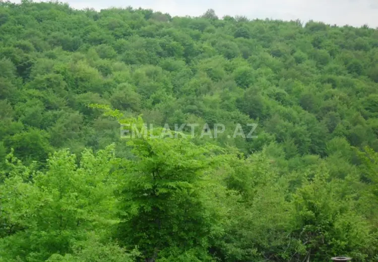 12 sot Torpaq Satılır, Qusar