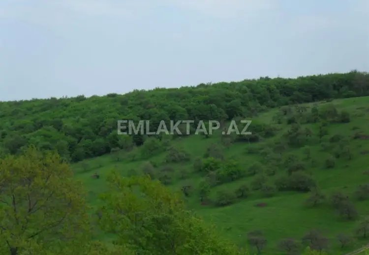 12 sot Torpaq Satılır, Qusar